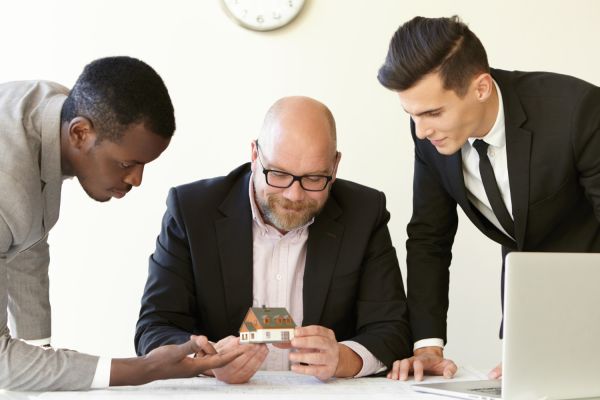 Peupleraie à vendre : saisissez une opportunité d'investissement